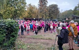 Un bon nombre d'adhérents de l'ASDS ont participé à la marche pour   le dimanche 11 octobre. merci à tous.