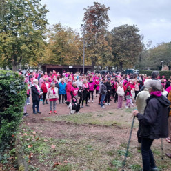 Un bon nombre d'adhérents de l'ASDS ont participé à la marche pour   le dimanche 11 octobre. merci à tous.